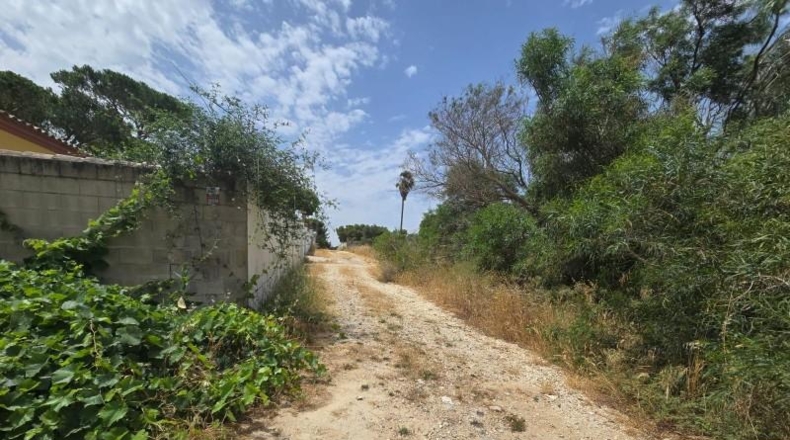Cádiz - Chiclana de la Frontera - 335m2