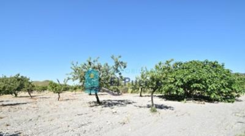 Murcia - Mazarrón - 57200m2