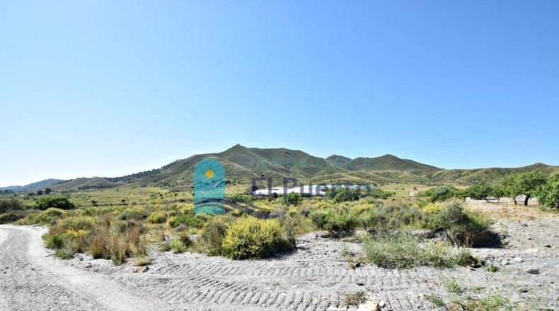 Murcia - Mazarrón - 57200m2