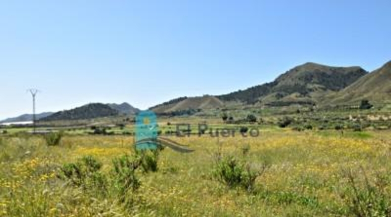 Murcia - Mazarrón - 57200m2