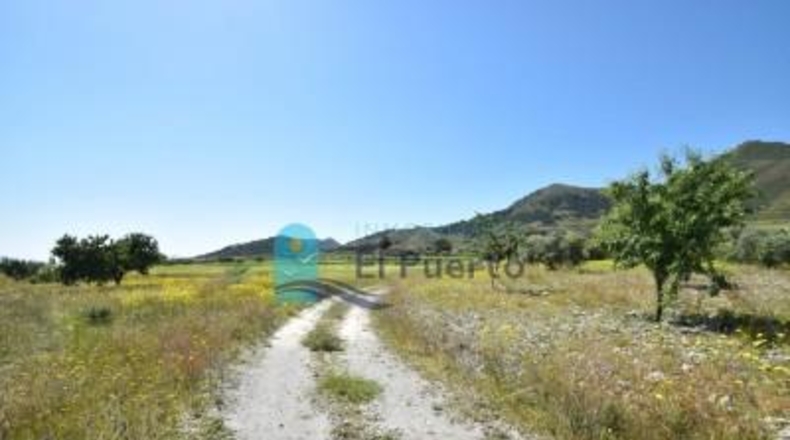 Murcia - Mazarrón - 57200m2