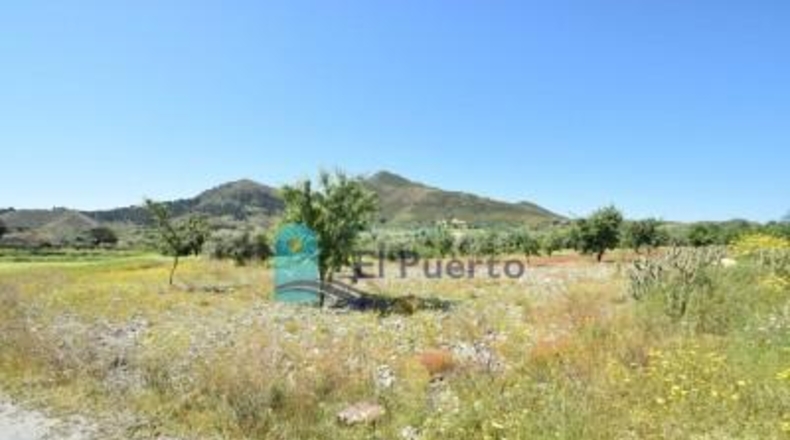 Murcia - Mazarrón - 57200m2