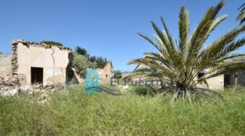 Murcia - Mazarrón - 57200m2