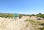 Casa de camp amb terreny en venda a la España, Lorca, ref.: TR145261 foto