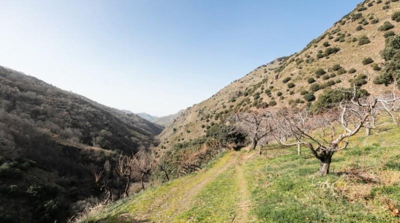 Granada - Güéjar Sierra - 50695m2