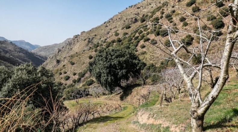 Granada - Güéjar Sierra - 50695m2