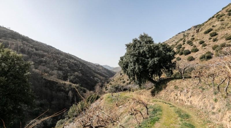 Granada - Güéjar Sierra - 50695m2