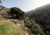 Земля на продажу у города Güéjar Sierra Фото
