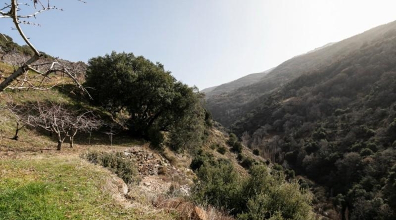 Granada - Güéjar Sierra - 50695m2