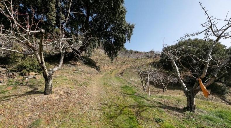 Granada - Güéjar Sierra - 50695m2