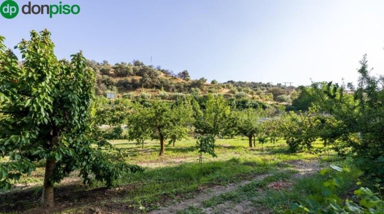 Granada - Pinos Genil - 1850m2