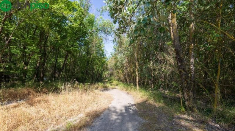 Granada - Pinos Genil - 1850m2