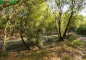 Terreny no urbanitzable en venda a la España, Pinos Genil, ref.: TR337254 foto