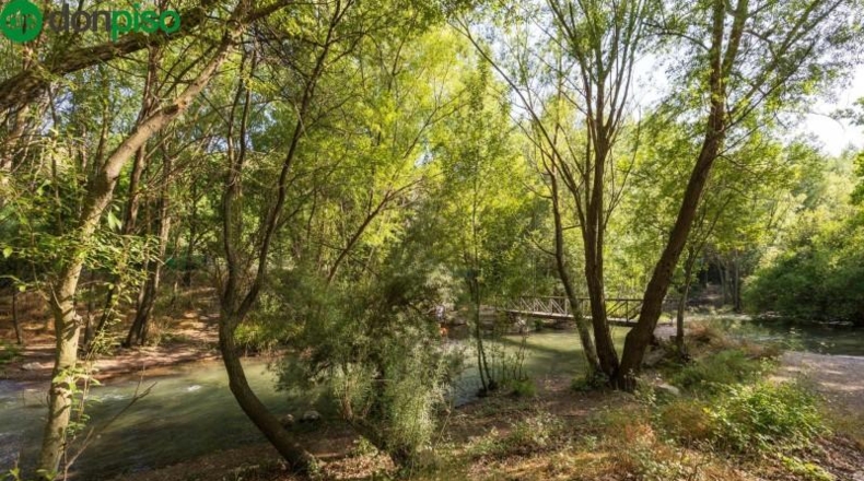 Granada - Pinos Genil - 1850m2
