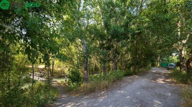 Granada - Pinos Genil - 1850m2