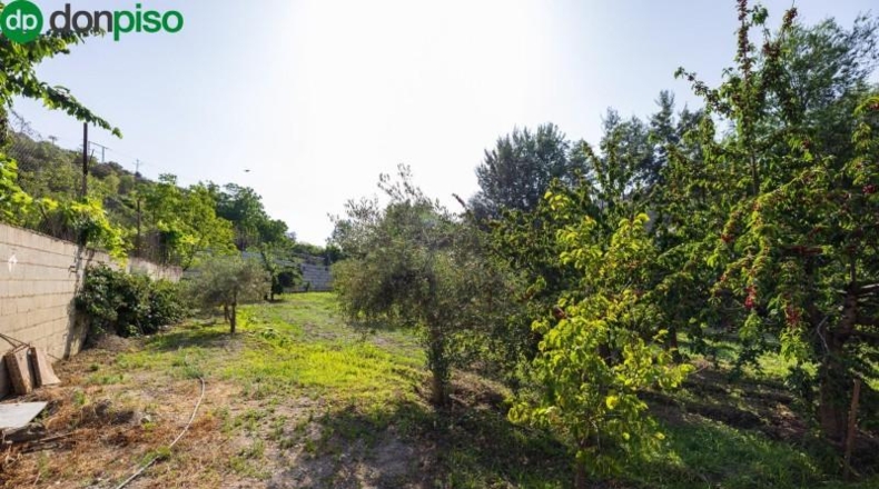 Granada - Pinos Genil - 1850m2