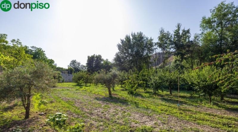 Granada - Pinos Genil - 1850m2