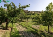Terreny no urbanitzable en venda a la España, Pinos Genil, ref.: TR337254 foto