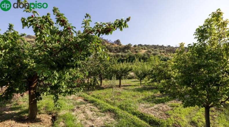 Granada - Pinos Genil - 1850m2