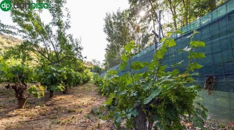 Granada - Pinos Genil - 1850m2