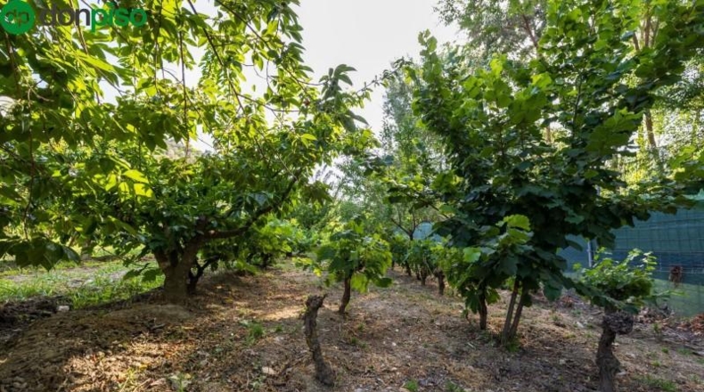 Granada - Pinos Genil - 1850m2