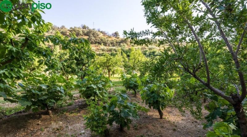 Granada - Pinos Genil - 1850m2