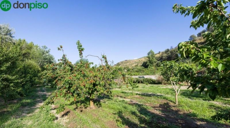 Granada - Pinos Genil - 1850m2