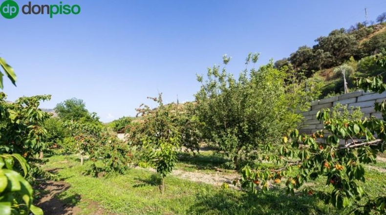 Granada - Pinos Genil - 1850m2