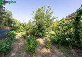 Terreny no urbanitzable en venda a la España, Pinos Genil, ref.: TR337254 foto