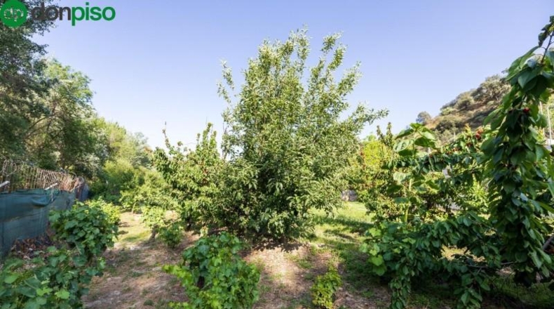 Granada - Pinos Genil - 1850m2