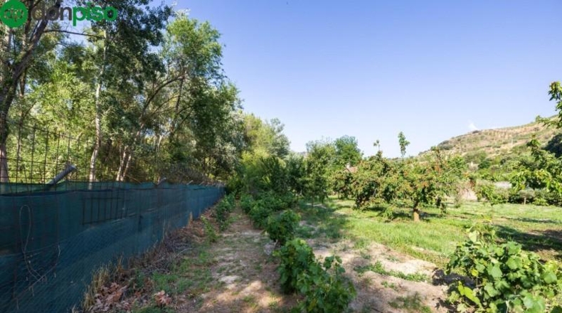 Granada - Pinos Genil - 1850m2