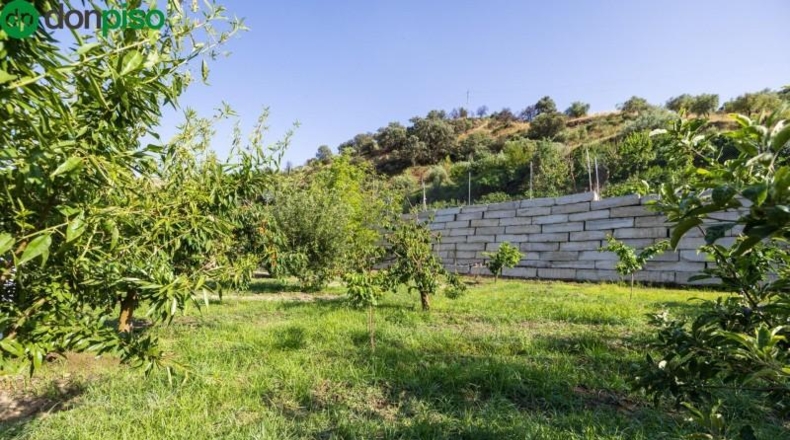 Granada - Pinos Genil - 1850m2