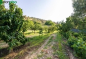 Terreny no urbanitzable en venda a la España, Pinos Genil, ref.: TR337254 foto