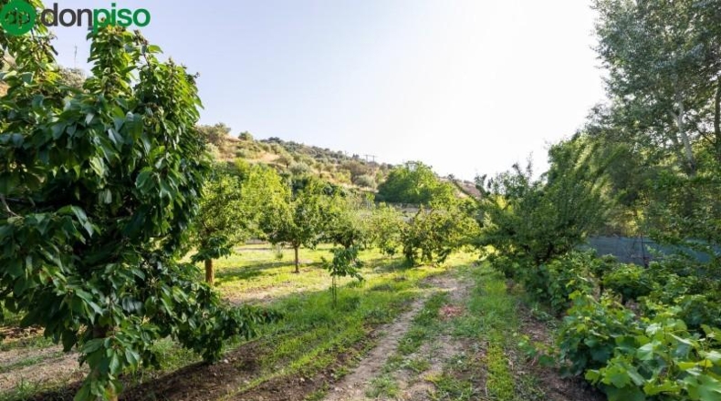 Granada - Pinos Genil - 1850m2