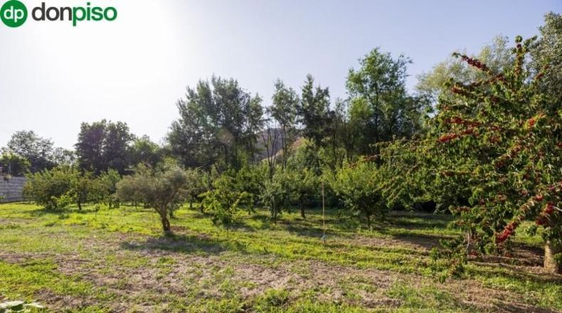 Granada - Pinos Genil - 1850m2