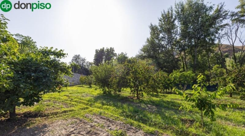 Granada - Pinos Genil - 1850m2