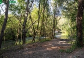 Terreny no urbanitzable en venda a la España, Pinos Genil, ref.: TR337254 foto