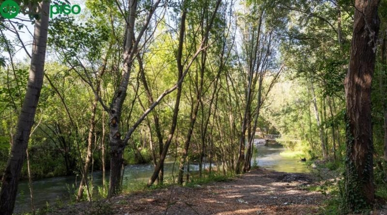 Granada - Pinos Genil - 1850m2
