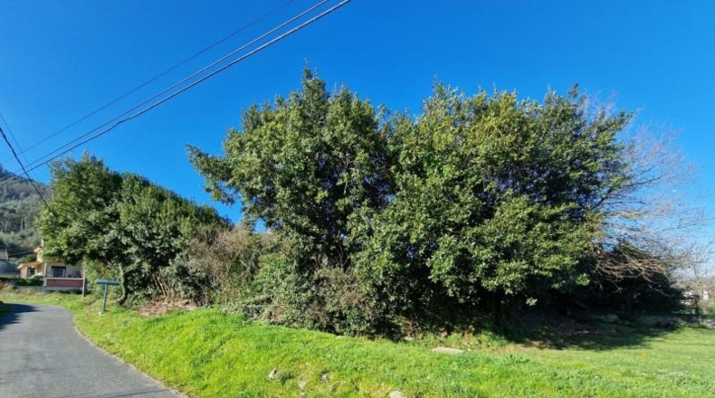 La Coruña - O Igrexario - 4293m2