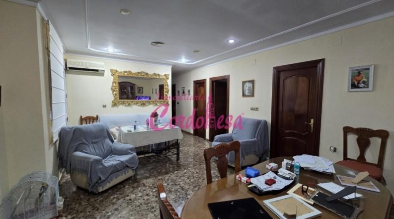 Córdoba - Córdoba - 360m2
