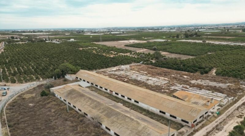 Alicante - Oriola - 18100m2
