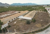 Non-developable land for sale on España, Orihuela, ref: TR130381 photo