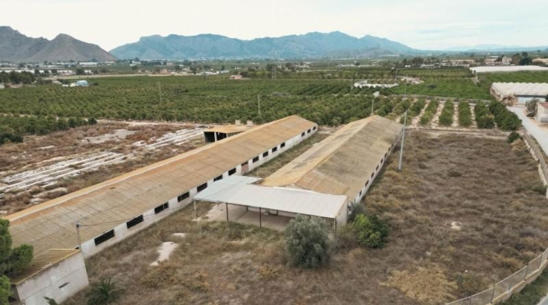 Alicante - Oriola - 18100m2