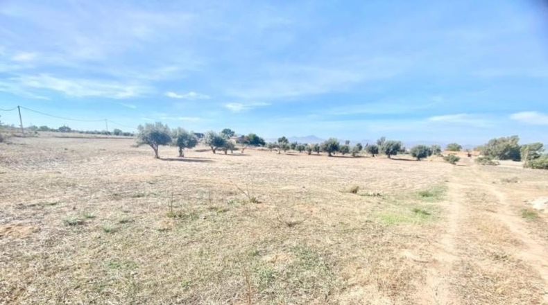 Múrcia - Lorca - 28714m2