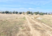 Terreny no urbanitzable en venda a la España, Lorca, ref.: TR125172 foto