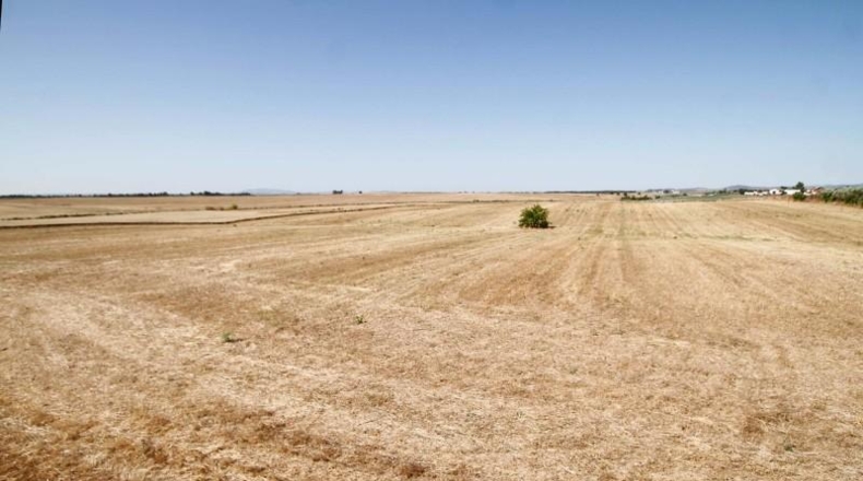 Badajoz - Badajoz - 40000m2