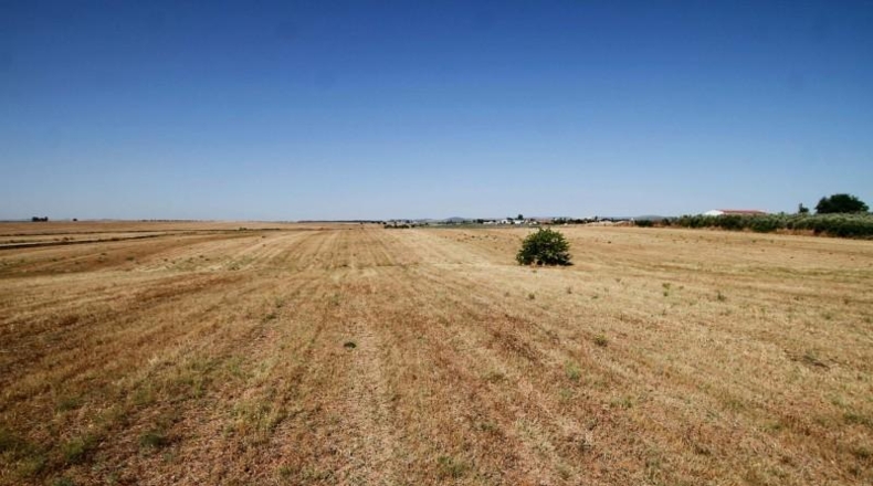 Badajoz - Badajoz - 40000m2