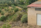 Non-developable land for sale on España, Riudecanyes, ref: TR128178 photo