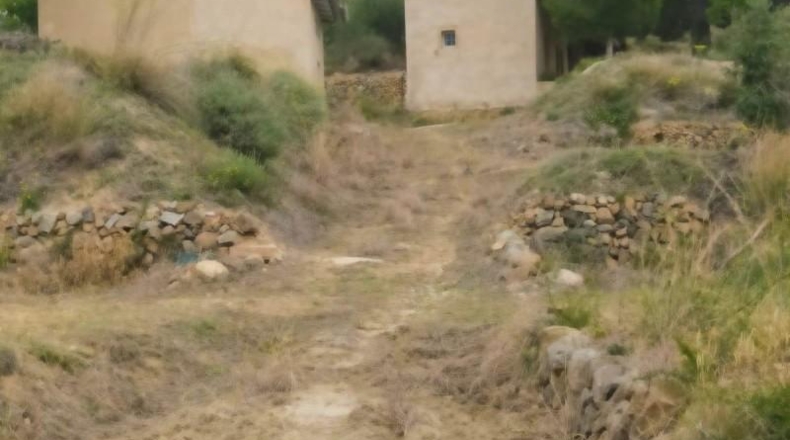 Tarragona - Riudecanyes - 45669m2