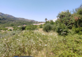 Land suitable for development for sale on España, Orba, ref: TR118070 photo